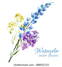watercolor vector illustration bouquet of delicate wildflowers, isolated object, botanical floral illustration card