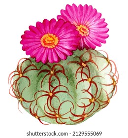 Watercolor vector illustration of cactus with flower