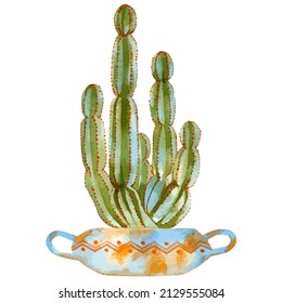 Watercolor vector illustration of cactus in pot