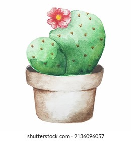 Watercolor vector illustration of cactus in pot, floral clipart, isolated flower in a pot on a white background