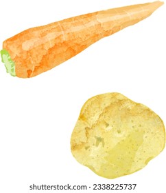 Watercolor vector illustration of carrots and potatoes
