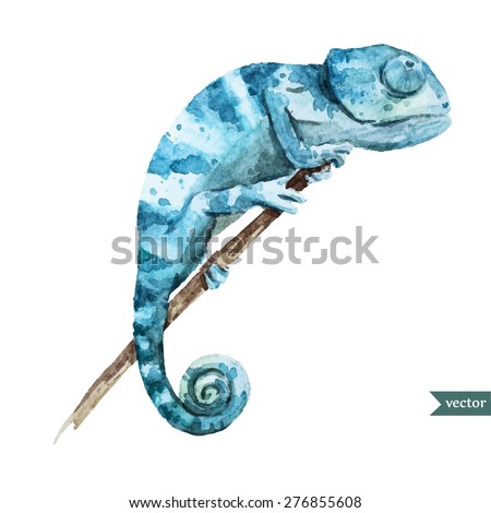 watercolor vector illustration chameleon reptile