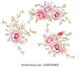 composições de ilustração de vetor de aquarela
 com isolação de folhas e rosas de eucalipto