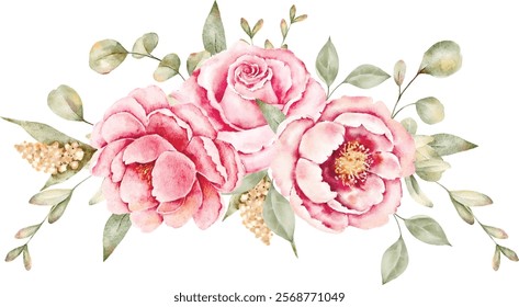 composições de ilustração de vetor de aquarela
 com isolação de folhas e rosas de eucalipto