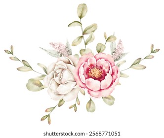 composições de ilustração de vetor de aquarela
 com isolação de folhas e rosas de eucalipto