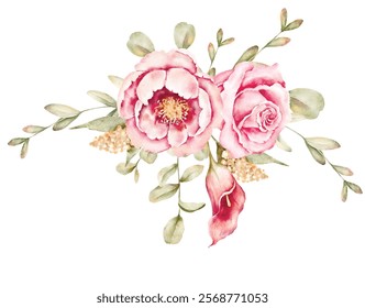 composições de ilustração de vetor de aquarela
 com isolação de folhas e rosas de eucalipto