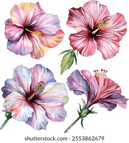 watercolor vector illustration of Floral bouquets made of Alstroemeria, Gerber, Rose, and Chrysanthemums