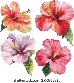 watercolor vector illustration of Floral bouquets made of Alstroemeria, Gerber, Rose, and Chrysanthemums