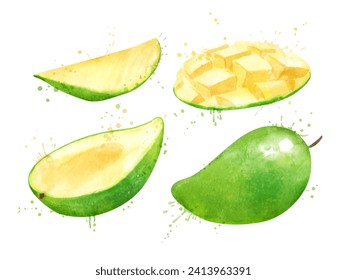 Ilustración vectorial de color agua de mango verde, mitad y cortada con manchas de pintura y salpicaduras.