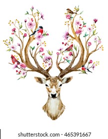 watercolor  vector illustration isolated deer, big antlers, flowers and birds on the horns, branches cherry flowering plant,Bird red cardinal, bird bullfinch 