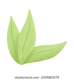 Watercolor vector illustration of leaf in childish style.