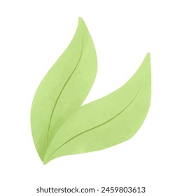 Watercolor vector illustration of leaf in childish style.