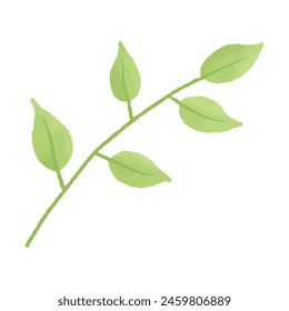 Watercolor vector illustration of leaf in childish style.
