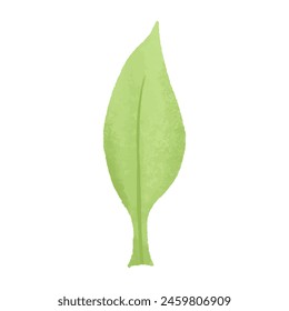 Watercolor vector illustration of leaf in childish style.