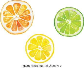 Watercolor vector illustration of orange, lemon, and lime