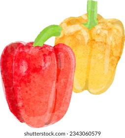 Watercolor vector illustration of paprika