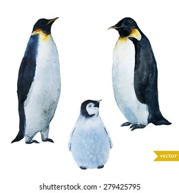 watercolor vector illustration Penguin