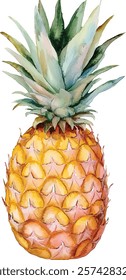 Watercolor vector illustration Pineapple Beautiful tropical fruit illustration for foodies and art lovers