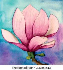 Watercolor vector illustration with pink magnolia 