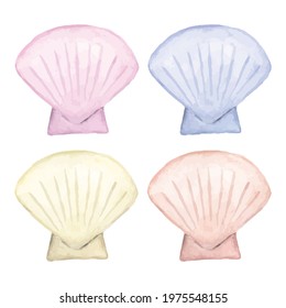Watercolor vector illustration of scallop shells