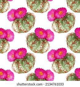 Watercolor vector illustration of seamless pattern with with cactus flowers.