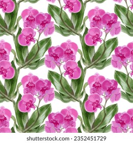 Watercolor vector illustration of seamless pattern with orchid flowers.