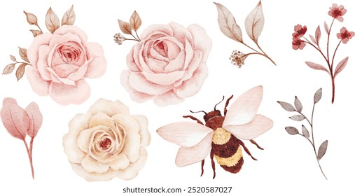 ilustração vetor aquarela conjunto de rosas macias e abelha