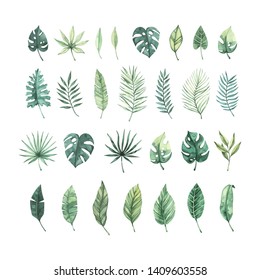 Watercolor vector illustration. Summer tropical collection with banana leaves, monstera and palm leaves. Perfect for wedding invitations, prints, postcards, posters