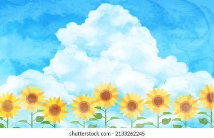 Watercolor vector illustration of sunflower field and blue sky