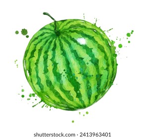 Watercolor vector illustration of watermelon with paint splashes.