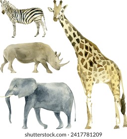 Watercolor vector illustration of wildlife Africa. African safari animals set. Giraffe, elephant, zebra, hippo in the savannah.