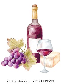 garrafa de vinho ilustração vetor aquarela
composição em vidro, uvas e queijo