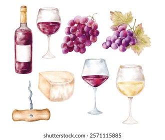 Botella de vino de la Ilustración vectorial de la acuarela
Clipart de vasos, uva y queso