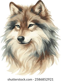 Watercolor Vector Illustration of a Wolf

's portrait