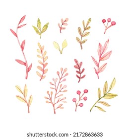 Watercolor vector illustrations. Botanical clipart ( leaves, flowers, swirls, herbs, branches). Floral Design elements. Perfect for wedding invitations, greeting cards, blogs, posters and more