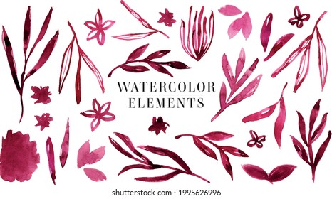 Ilustraciones vectoriales de acuarela. Colección de diferentes elementos botánicos separados como hojas, hierba y flores de arte sin fondo.