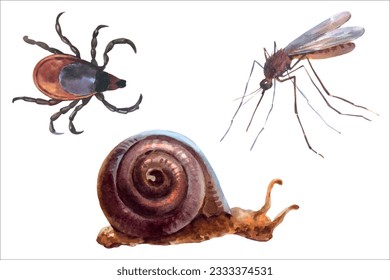 Aquarell-Vektorgrafiken von Waldtieren, Mücken, Milben oder Ixodes ricinus und Schnecke.