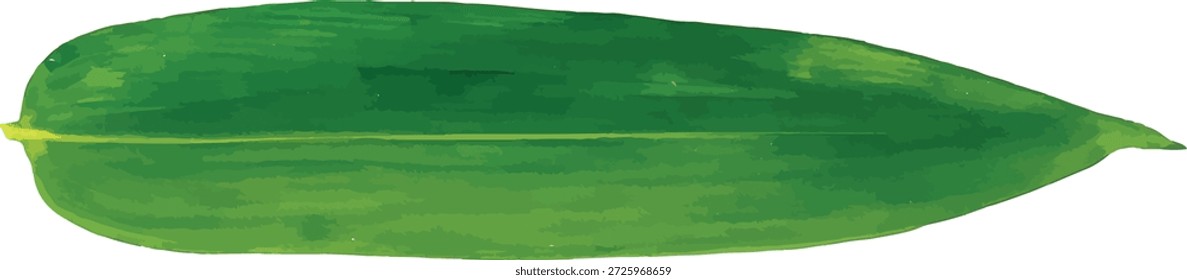 Ilustrador de Vector de acuarela de hoja de bambú aislado sobre fondo blanco