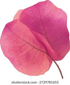 Watercolor Vector Illustrator Bougainvillea Leaf, Isolated on White Background
