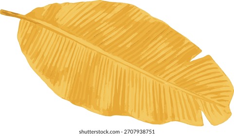 Aquarell, Vektorgrafik, getrocknetes Bananenblatt einzeln auf weißem Hintergrund
