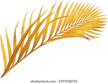 Watercolor vector illustrator dried palm leaf isolated on white background
