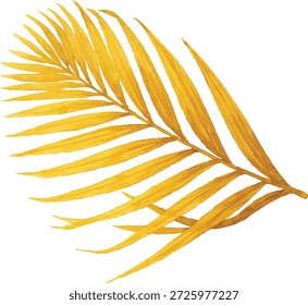 Watercolor vector illustrator dried palm leaf isolated on white background
