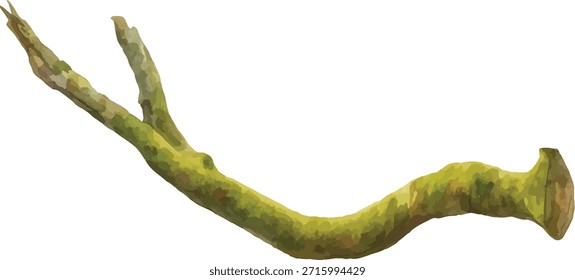 Watercolor vector Illustrator Moss-Covered Branch Isolated on White Background