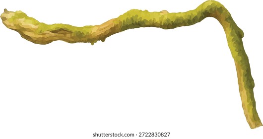 Vetor aquarela Illustrator Moss-Covered Branch Isolado no fundo branco