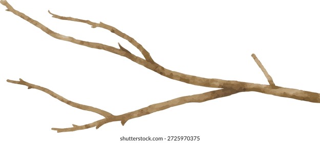 Vetor aquarela Illustrator Moss-Covered Branch Isolado no fundo branco