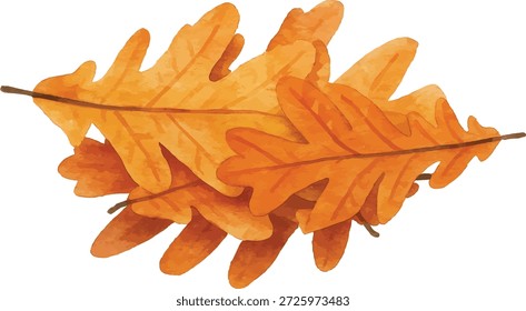 Ilustrador de Vector de acuarela Hojas de roble anaranjado aisladas sobre fondo blanco