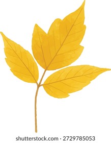 Ilustrador de Vector de acuarela de una rama de hoja amarilla aislada sobre fondo blanco.