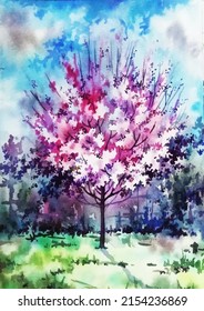 Watercolor vector image of apricot blossom in early spring