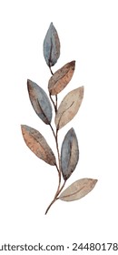A watercolor vector image of a branch with leaves, in brown and gray tones, making it an ideal visual element for websites or content related to nature, art or home decor.