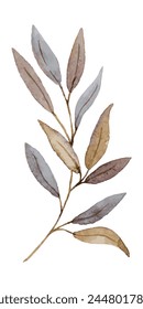 Watercolor vector image of a curved branch with leaves in gray and brown tones, suitable for designing content related to nature, art or home decor.